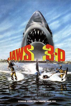 大白鲨3 Jaws 3-D.1983 字幕下载