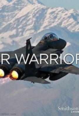战机：空中勇士 Air Warriors.2014 字幕下载