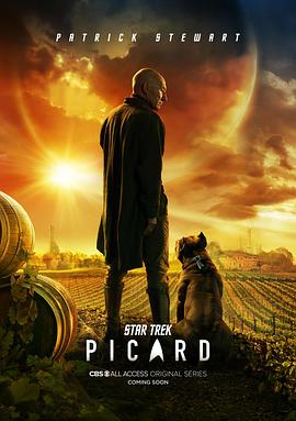 星际迷航：皮卡德 第一季 Star Trek: Picard Season 1.2020 字幕下载