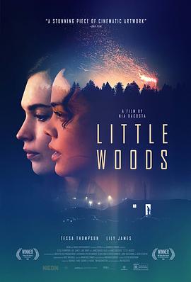 小森林 Little Woods.2018 字幕下载