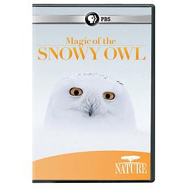 神奇的雪鸮 Magic of the Snowy Owl.2012 字幕下载