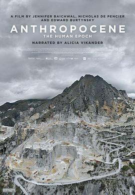 人类纪 Anthropocene: The Human Epoch.2018 字幕下载