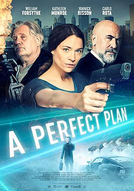 完美计划 A Perfect Plan.2020 字幕下载