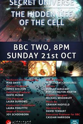 人体奥妙之细胞的暗战 Our Secret Universe: The Hidden Life of the Cell.2012 字幕下载