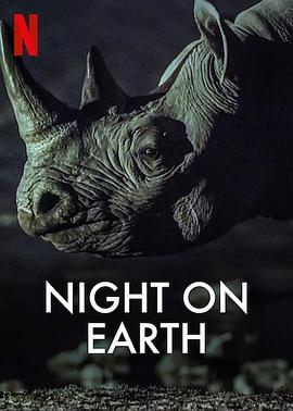 地球的夜晚 Night on Earth.2020 字幕下载