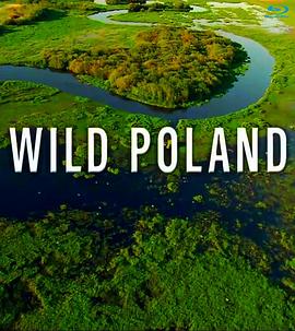 野性波兰 Wildes Polen.2012 字幕下载