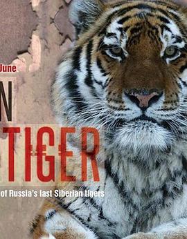 雪虎任务 Operation Snow Tiger.2013 字幕下载