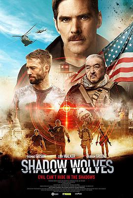 暗影出击 Shadow Wolves.2019 字幕下载