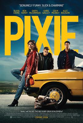 皮格茜 Pixie.2020 字幕下载