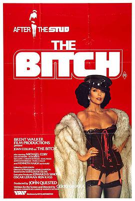 豪门蛇蝎花 The Bitch.1979 字幕下载