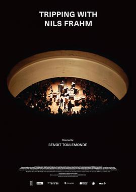 情迷尼尔斯•弗拉姆 Tripping With Nils Frahm.2020 字幕下载