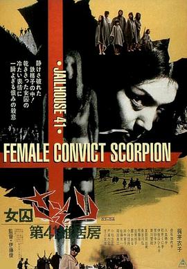 第41号女囚房 女囚さそり 第41雑居房.1972 字幕下载