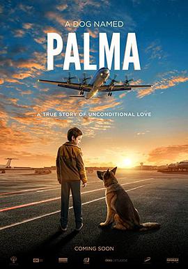 忠犬帕尔玛 Пальма.2021 字幕下载
