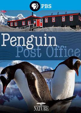 自然世界：企鹅邮局 Natural World - Penguin Post Office.2014 字幕下载