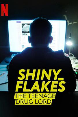 暗网青年毒枭 Shiny_Flakes: The Teenage Drug Lord.2021 字幕下载