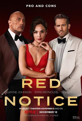 红色通缉令 Red Notice.2021 字幕下载