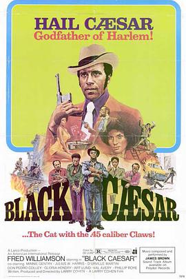黑凯撒 Black Caesar.1973 字幕下载