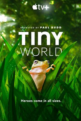 小小世界 第二季 Tiny World Season 2.2021 字幕下载