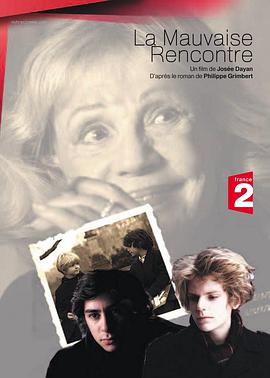 男孩日记 La mauvaise rencontre.2011 字幕下载