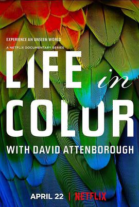 多彩生活 Life In Colour.2021 字幕下载