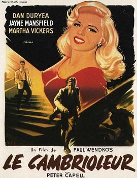 义盗娇娃 The Burglar.1957 字幕下载