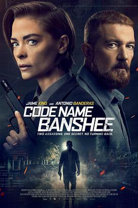 报丧女妖 Code Name Banshee.2022 字幕下载