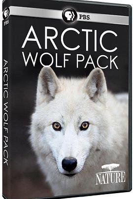 北极狼群 Arctic Wolf Pack.2018 字幕下载