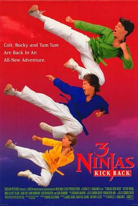 忍者小英雄2 3 Ninjas Kick Back.1994 字幕下载