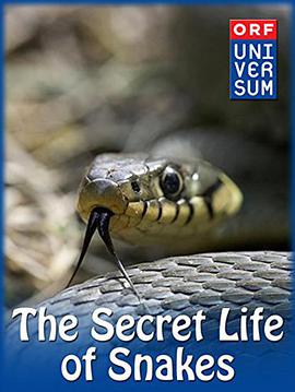 蛇的秘密生活 The Secret Life of Snakes.2016 字幕下载