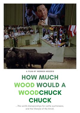 一只土拨鼠能啃掉多少 How much Wood would a Woodchuck chuck... - Beobachtungen zu einer neuen Sprache.1976 字幕下载