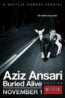 阿兹·安萨里：活埋 Aziz Ansari: Buried Alive.2013 字幕下载