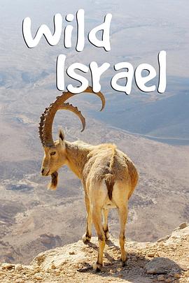 野性以色列 Wild Israel.2016 字幕下载