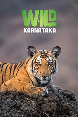 野性印度卡纳塔克邦 Wild Karnataka.2019 字幕下载
