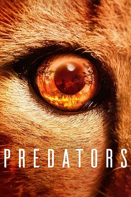 食肉动物 Predators.2022 字幕下载