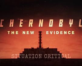 切尔诺贝利:新证据 Chernobyl: The New Evidence.2022 字幕下载