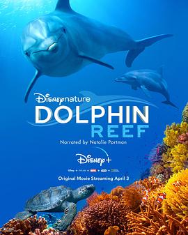 海豚礁 Dolphin Reef.2020 字幕下载