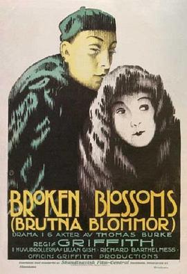 残花泪 Broken Blossoms or The Yellow Man and the Girl.1919 字幕下载