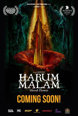 Harum Malam .2022 字幕下载