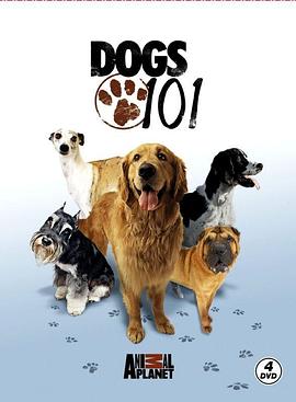 狗狗全纪录 第一季 Dogs 101 Season 1.2008 字幕下载