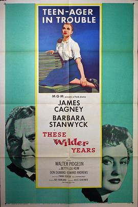 锦绣年华 These Wilder Years.1956 字幕下载
