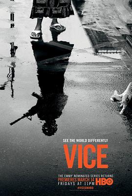 恶 第二季 Vice Season 2.2014 字幕下载