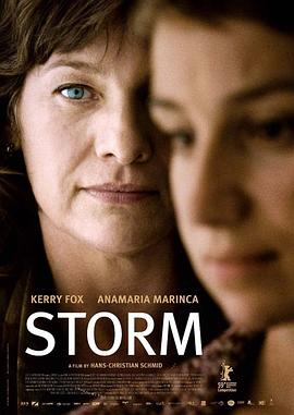 控诉风暴 Storm.2009 字幕下载