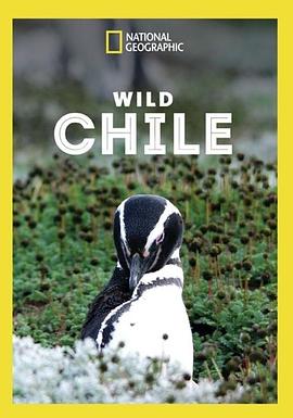 狂野智利 Wild Chile.2018 字幕下载