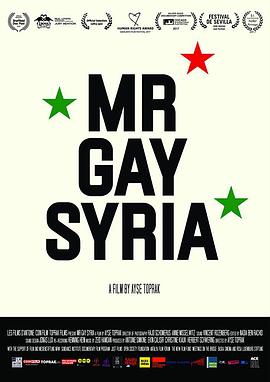 叙利亚同志先生 Mr Gay Syria.2017 字幕下载