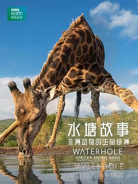 水塘故事：非洲动物的生命绿洲 Waterhole Africa's Animal Oasis.2020 字幕下载