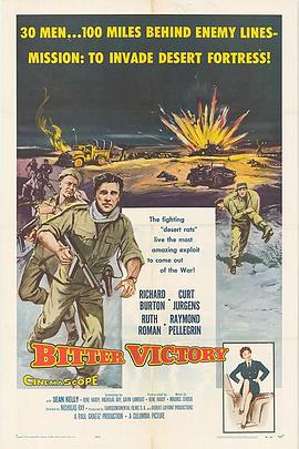 沙漠大血战 Bitter Victory.1957 字幕下载