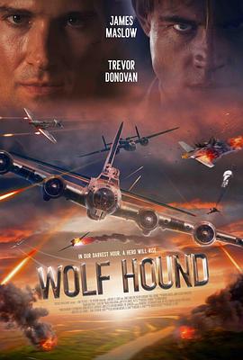 猎狼犬行动 Wolf Hound.2022 字幕下载