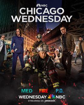 芝加哥急救 第十季 Chicago Med Season 10.2024 字幕下载