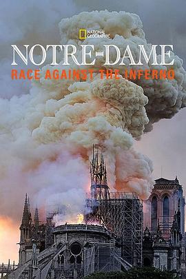 圣母院：与烈焰竞赛 Notre Dame: Race Against The Inferno.2019 字幕下载