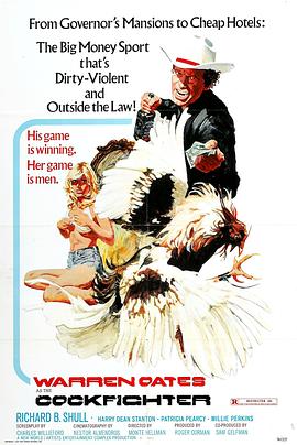 斗鸡人 Cockfighter.1974 字幕下载